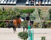 Apolloni Baby Arko GioCav2013 S5 1916 : Apolloni Gianluca, Baby Arko, Campionati Italiani Giovani Cavalli, Cattolica, ph Stefano Secchi ©